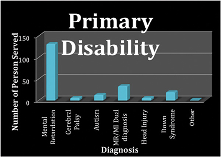 Primary Disability